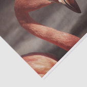 Liefroze krant voor Flamingo Tissue Tissuepapier (Detail)