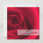 Liefs. Elegante rode roos Valentijnsdag Kaart (Voorkant)