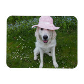 Liefste hond ter wereld magneet (Horizontaal)