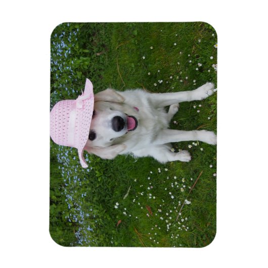 Liefste hond ter wereld magneet (Verticaal)