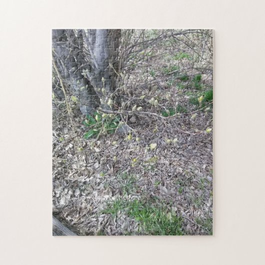 Liefste knoppen van maart legpuzzel (Verticaal)