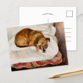 liegende hond | Zygmunt Waliszewski Briefkaart