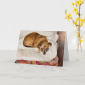 liegende hond | Zygmunt Waliszewski Kaart (Gele Bloem)