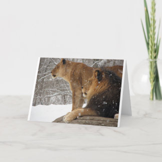 Lieren Feestdagen Kaart