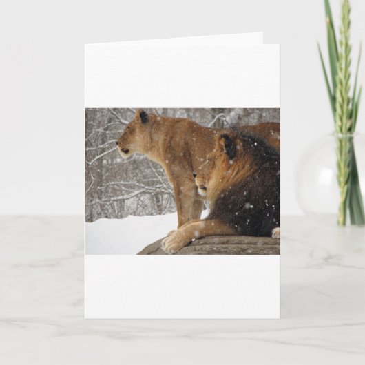 Lieren Feestdagen Kaart (Voorkant)