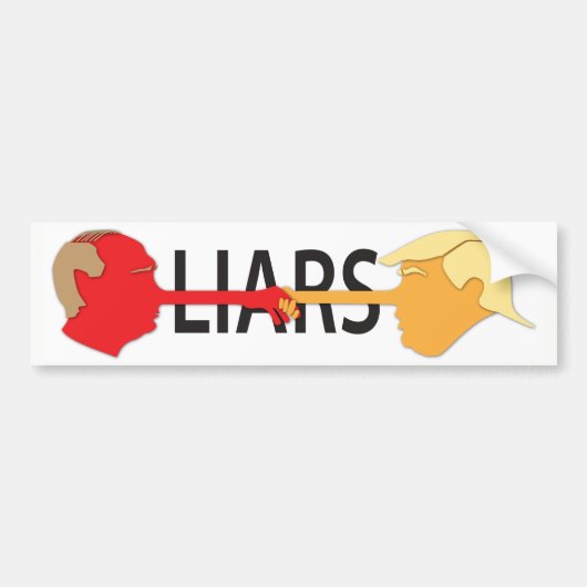Lieren (wit) bumpersticker (Voorkant)