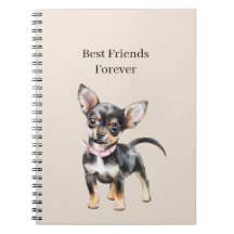 Lieve Aardige Bruine Crème Chihuahua Hond Beste Vr