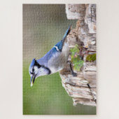 Lieve Blauwe Gaai Zangvogel op Boomstomp Legpuzzel (Verticaal)