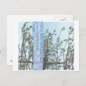 Lieve boom briefkaart (Voorkant / Achterkant)