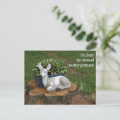 Lieve Briefkaart (Staand voorkant)