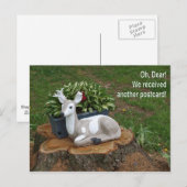 Lieve Briefkaart (Voorkant / Achterkant)