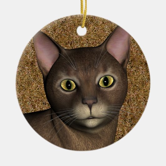 Lieve bruine kat keramisch ornament (Voorkant)