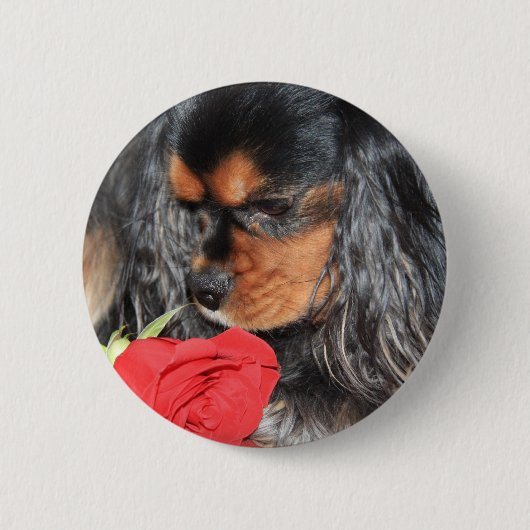 Lieve Cavalier King Charles Spaniel Ronde Button 5,7 Cm (Voorkant)