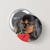 Lieve Cavalier King Charles Spaniel Ronde Button 5,7 Cm (Voorkant /achterkant)