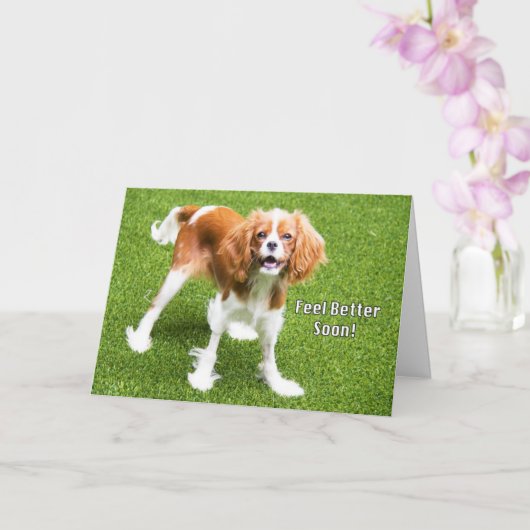 Lieve Cavalier King Charles Voel je Beter Kaart (Orchidee)