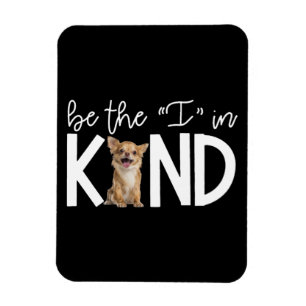 Lieve Chihuahua, ben ik in een soort Hondenliefheb Magneet