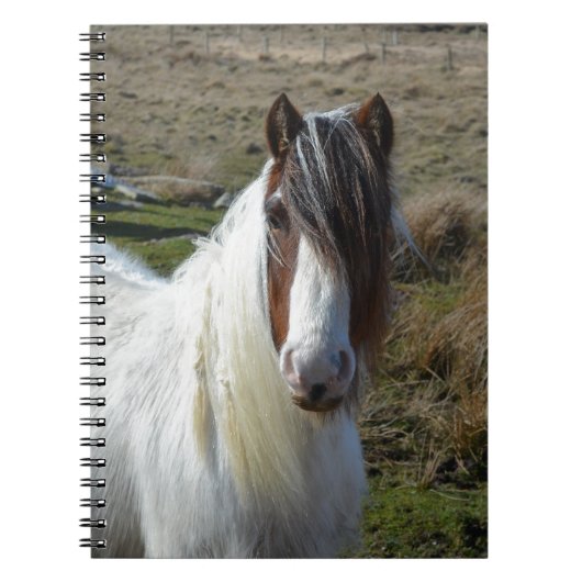 Lieve Connemera-pony Notitieboek (Voorkant)