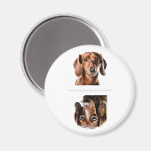 Lieve Dachshund Schone/Vuile Vaatwasser Magneet (Voorkant / Achterkant)