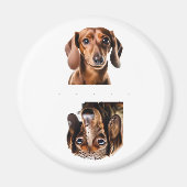 Lieve Dachshund Schone/Vuile Vaatwasser Magneet (Voorkant)