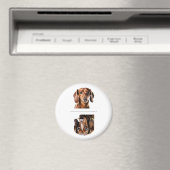 Lieve Dachshund Schoon/Vuile Afwasmachine Magneet (Insitu (Vaatwasser))