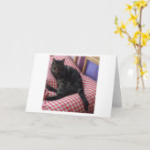 Lieve Dave Wenskaart Kaart (Gele Bloem)