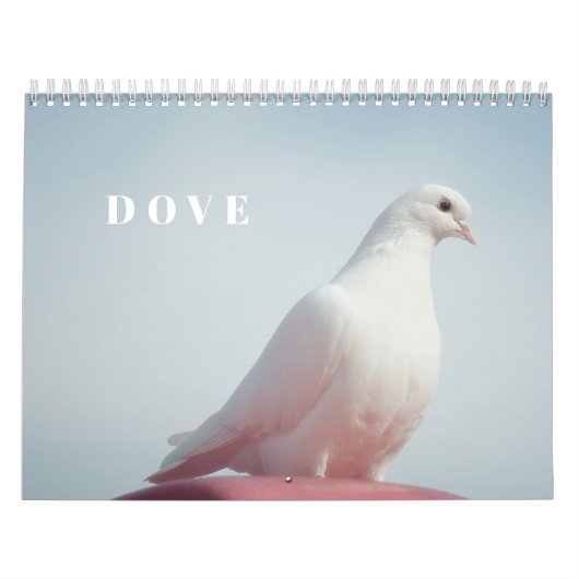 Lieve Duif Witte Duif Liefde & Vrede Symbool Vogel Kalender (Hoes)