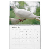 Lieve Duif Witte Duif Liefde & Vrede Symbool Vogel Kalender (Feb 2027)
