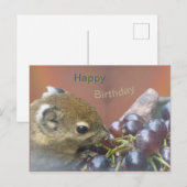 Lieve eekhoorn gefeliciteerd verjaardagskaart briefkaart (Voorkant / Achterkant)