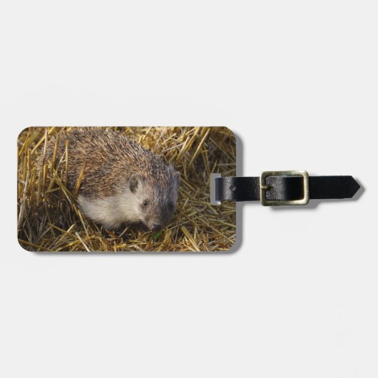 Lieve egel in het knelveld bagagelabel (Voorkant horizontaal)