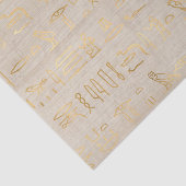 Lieve Egyptische Hieroglyphs Tissuepapier (Detail)