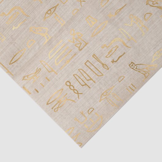Lieve Egyptische Hieroglyphs Tissuepapier (Detail)