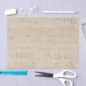 Lieve Egyptische Hieroglyphs Tissuepapier (Craft)