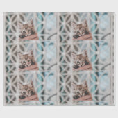 Lieve en schattige, getierde Kitten die naar jou z Cadeaupapier (Vlak)