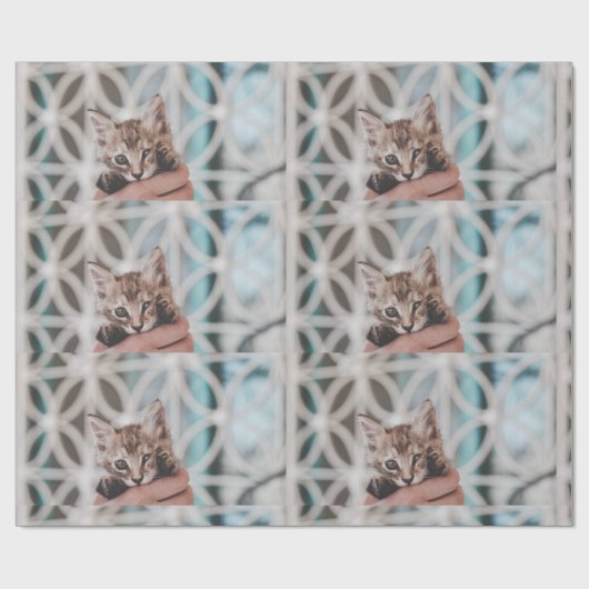 Lieve en schattige, getierde Kitten die naar jou z Cadeaupapier (Vlak)