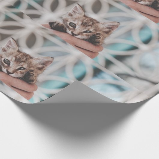 Lieve en schattige, getierde Kitten die naar jou z Cadeaupapier (Hoek)