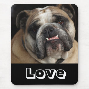 Lieve Engelse Bulldog Puppy Hond Muismat