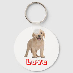 Lieve Gele Labrador Retriever Puppy Hond Sleutelha Sleutelhanger