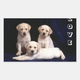 Lieve Gele Labrador Retriever Puppy Honden Sticker