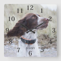 Lieve Gepersonaliseerde Hond Dier Foto