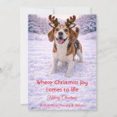 Lieve Hond Kerst Mooie Quote | Kerstkaart (Voorkant)