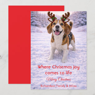 Lieve Hond Kerst Mooie Quote   Kerstkaart