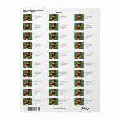 Lieve Kabouter Klaver Ierse Folklore Kunst Etiket (Full Sheet)