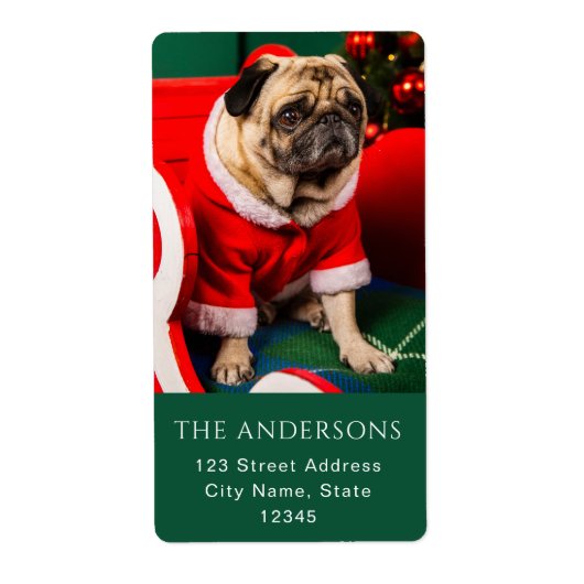 Lieve Kerst Peppige Hond Huisdier Foto Liefhebber  Etiket (Voorkant)