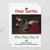 Lieve kerstman, de hond deed het grappige foto van feestdagenkaart (Voorkant / Achterkant)