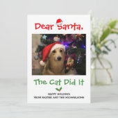 Lieve kerstman, de kat deed het grappige foto van feestdagenkaart (Staand voorkant)