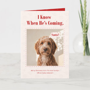 Lieve Kerstman Grappige Hond Foto Kerstmis Feestdagen Kaart
