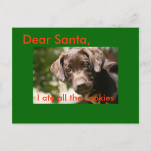 Lieve Kerstman, ik heb alle koekjes opgegeten Feestdagenkaart