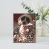 Lieve Kerstman, ik kan het uitleggen (hond) Briefkaart (Staand voorkant)