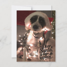 Lieve Kerstman, ik kan het uitleggen (hond) Briefkaart