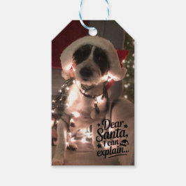 Lieve Kerstman, ik kan het uitleggen (hond) Cadeaulabel